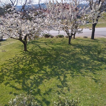 Daal Daire Roč Dış mekan fotoğraf