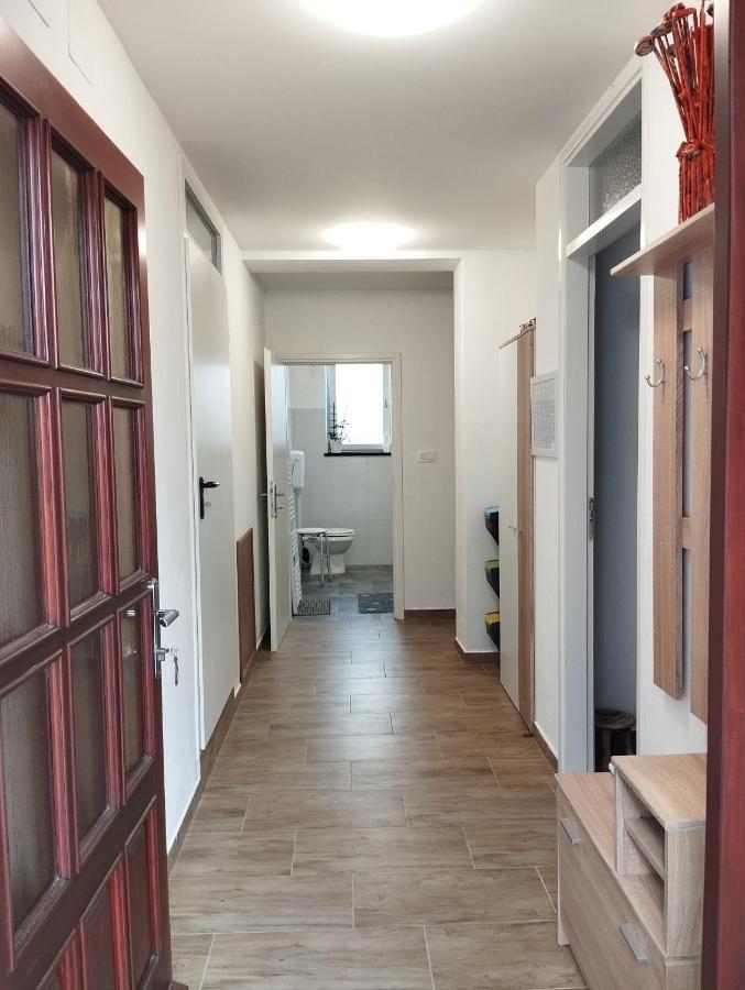 Daal Daire Roč Dış mekan fotoğraf