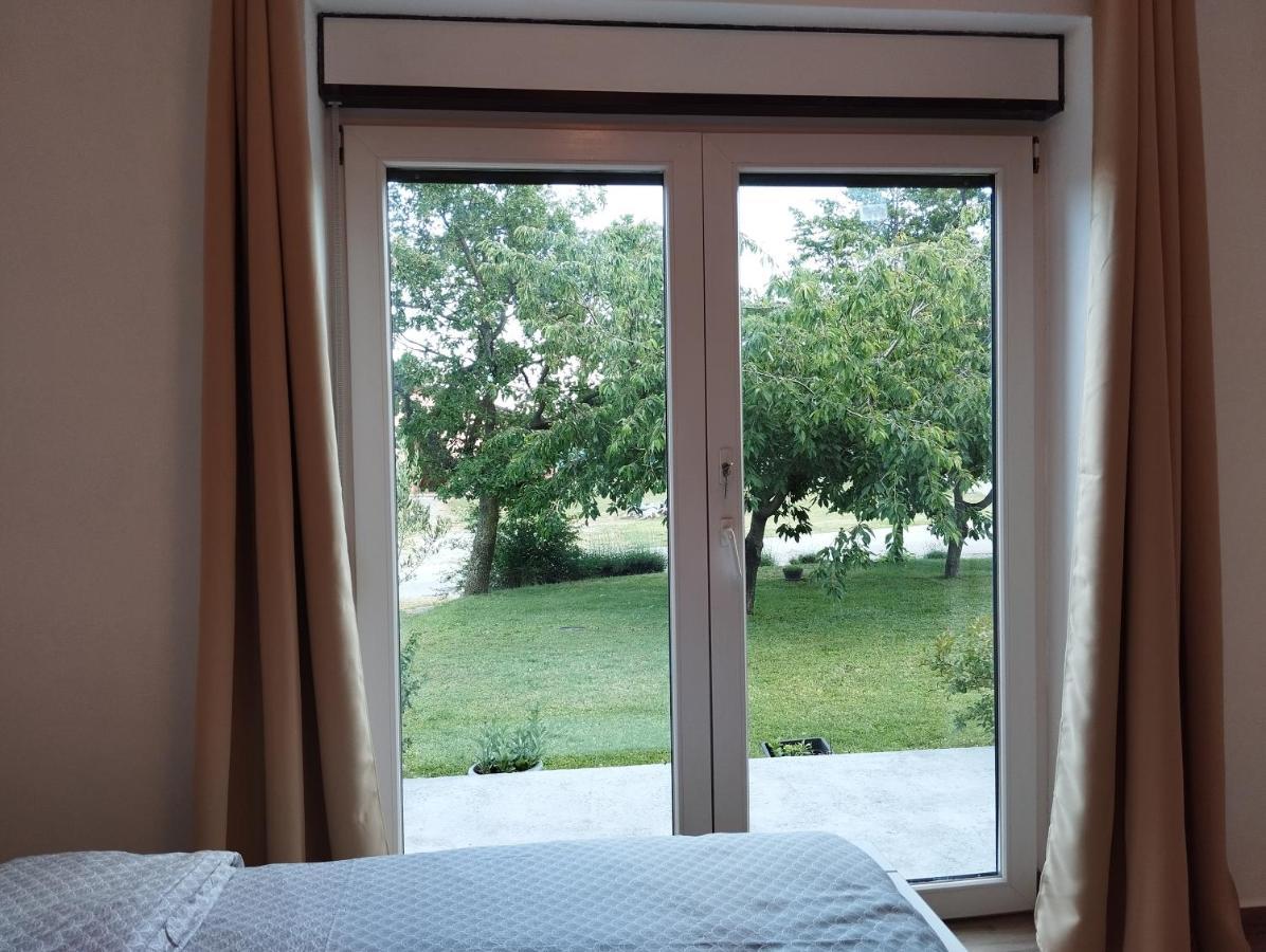 Daal Daire Roč Dış mekan fotoğraf