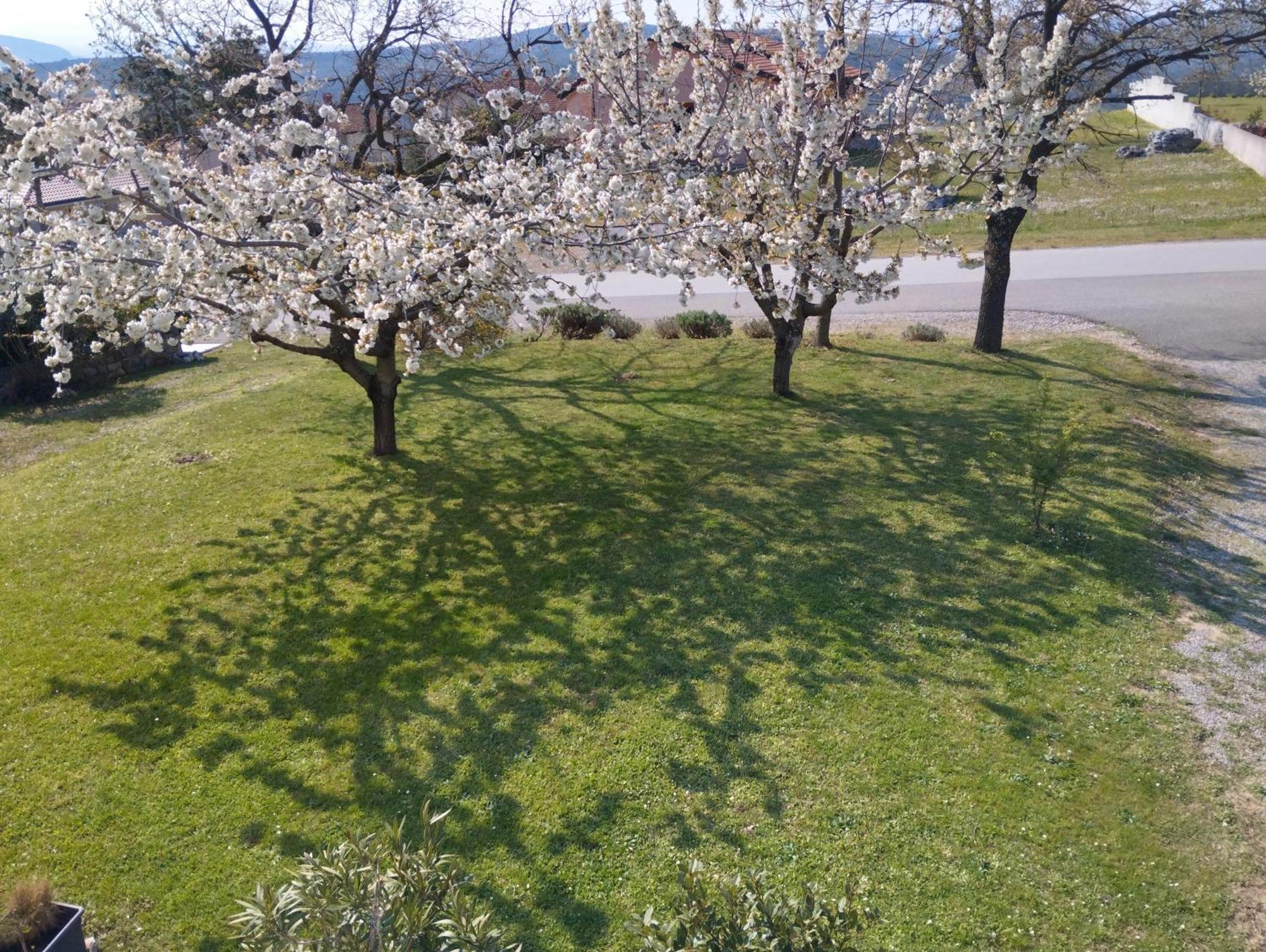 Daal Daire Roč Dış mekan fotoğraf